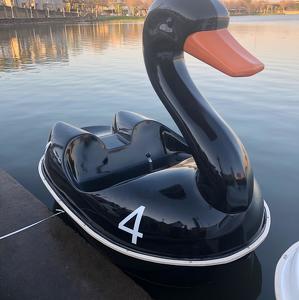 Team Page: Swan City's Most Wanted